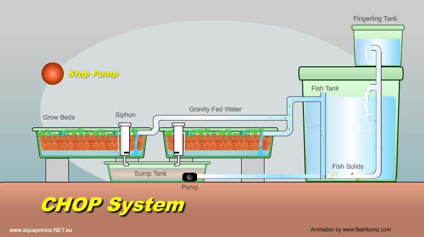 Simple aquaponics system: Aquaponic farm pdf